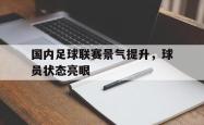 国内足球联赛景气提升，球员状态亮眼的简单介绍