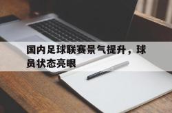 国内足球联赛景气提升，球员状态亮眼的简单介绍