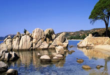 金融风控中的人工智能应用