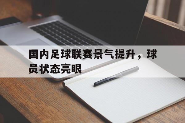 国内足球联赛景气提升，球员状态亮眼的简单介绍